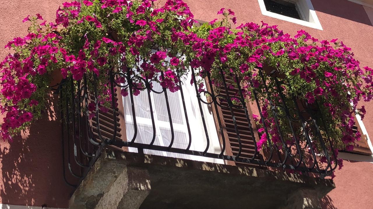 La Casa Del Colonnello Hotel Vercelli Exterior foto